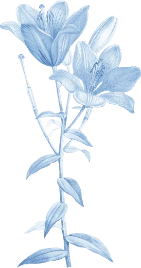 Bottom Center Leaf