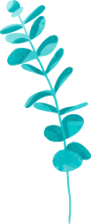 Left Middle Branch