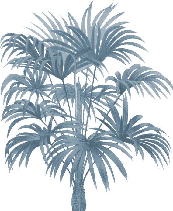 Bottom Leaf