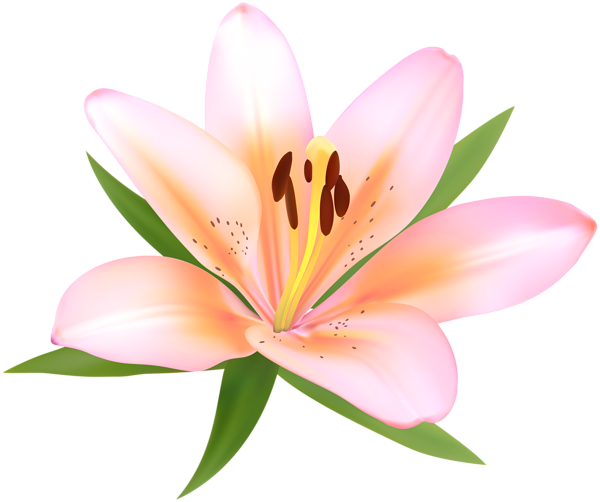 Flower 1