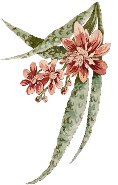 flower-1