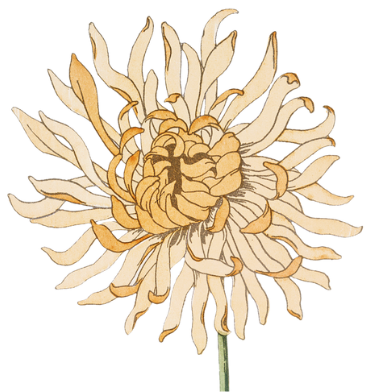 flower-1