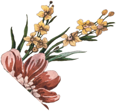 flower-1